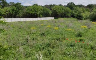 Teren Baneasa Sisesti - Poză 1