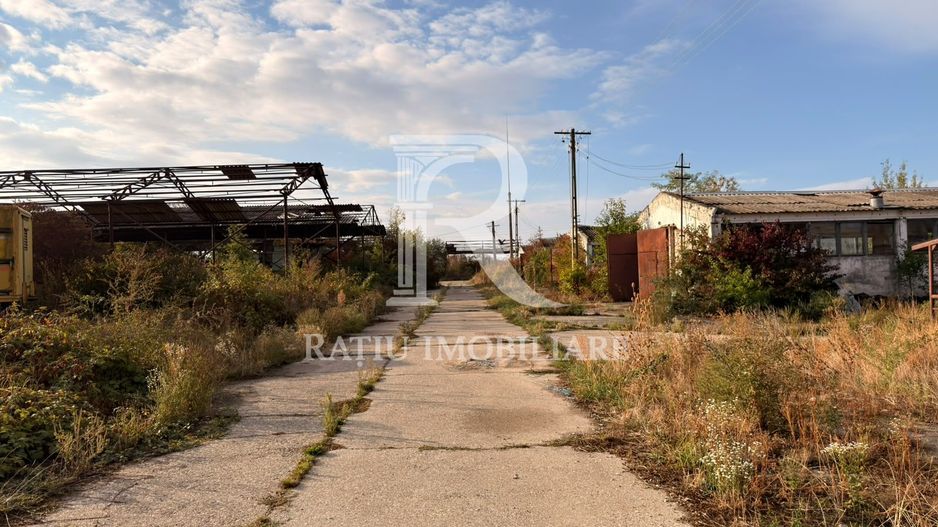 Fermă Sărand | Bihor | 25.659 mp teren intravilan - Poză 18