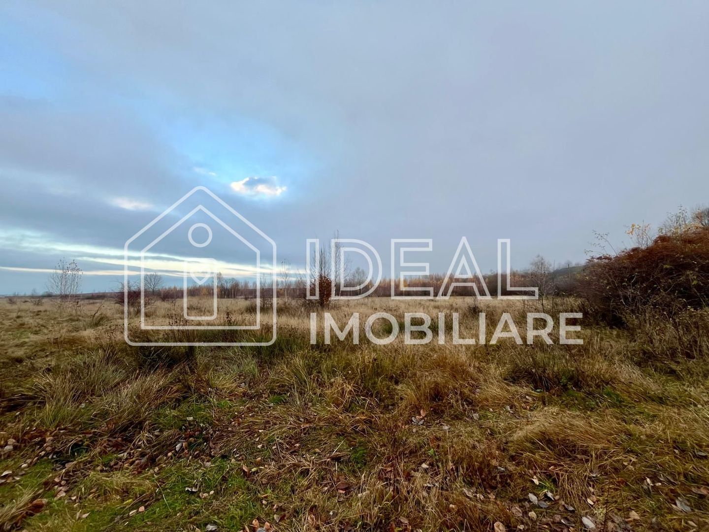 Teren extravilan 6.500 mp – Cârțișoara | Comision 0% - Poză 6