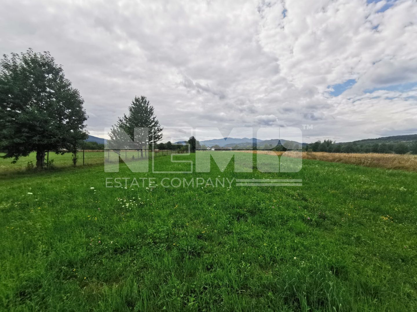 Teren Intravilan | 2.200 mp | Vicovu de Sus - Poză 10