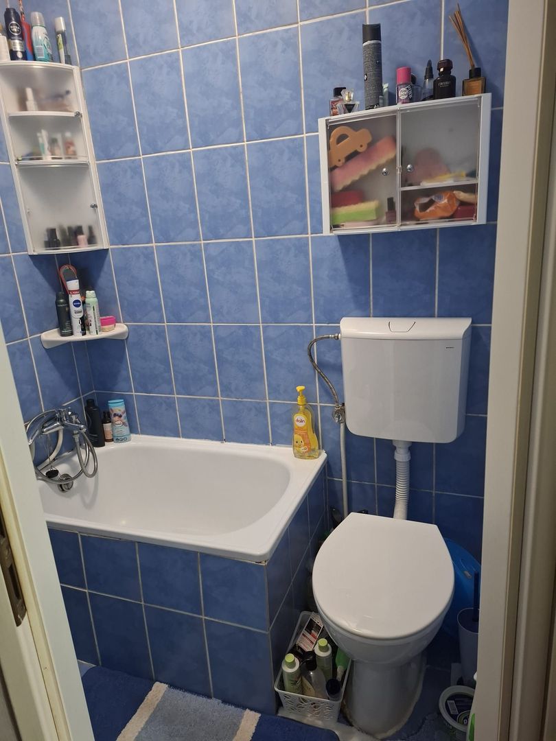 Garsoniera 20 mp Grigorescu malul Somesului - Poză 3