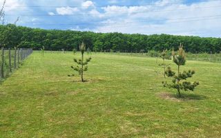 Teren Extravilan | 2.000 MPU | Intabulat | Zonă liniștită - Poză 6