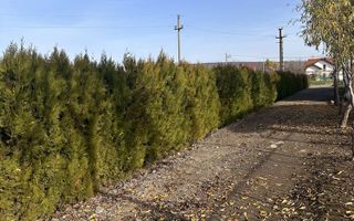 Casă, Lunca Cetățuii, Ciurea, Iași - Poză 8