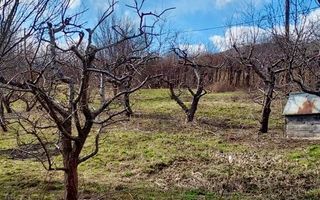 Casa de vanzare  in Talmacel-Teren 4000 mp cu livada+garaj - Poză 14