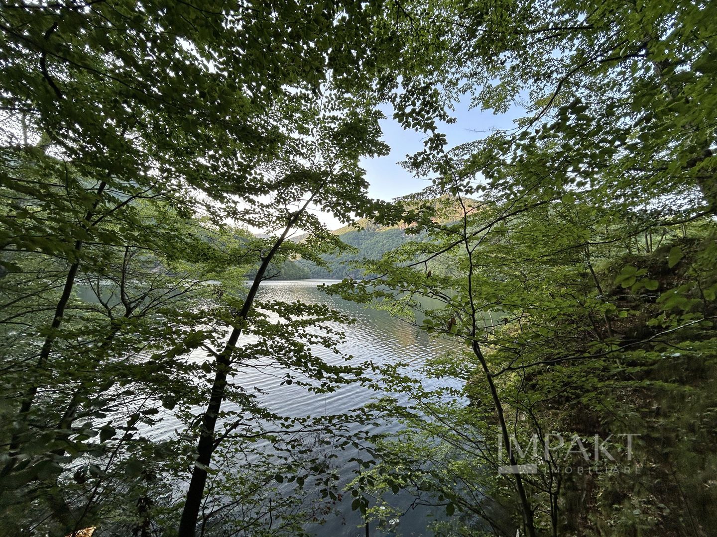 Vanzare cabana rustica pe malul lacului Tarnita! - Poză 11