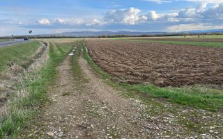 Teren Extralian | 50 de Ari | Horodnic de Sus - Poză 2