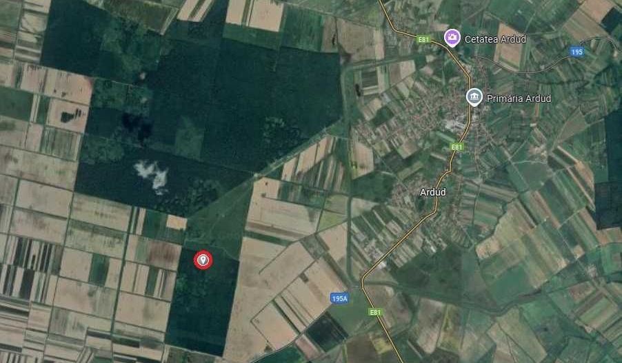 Teren arabil si padure de vanzare - Poză 2