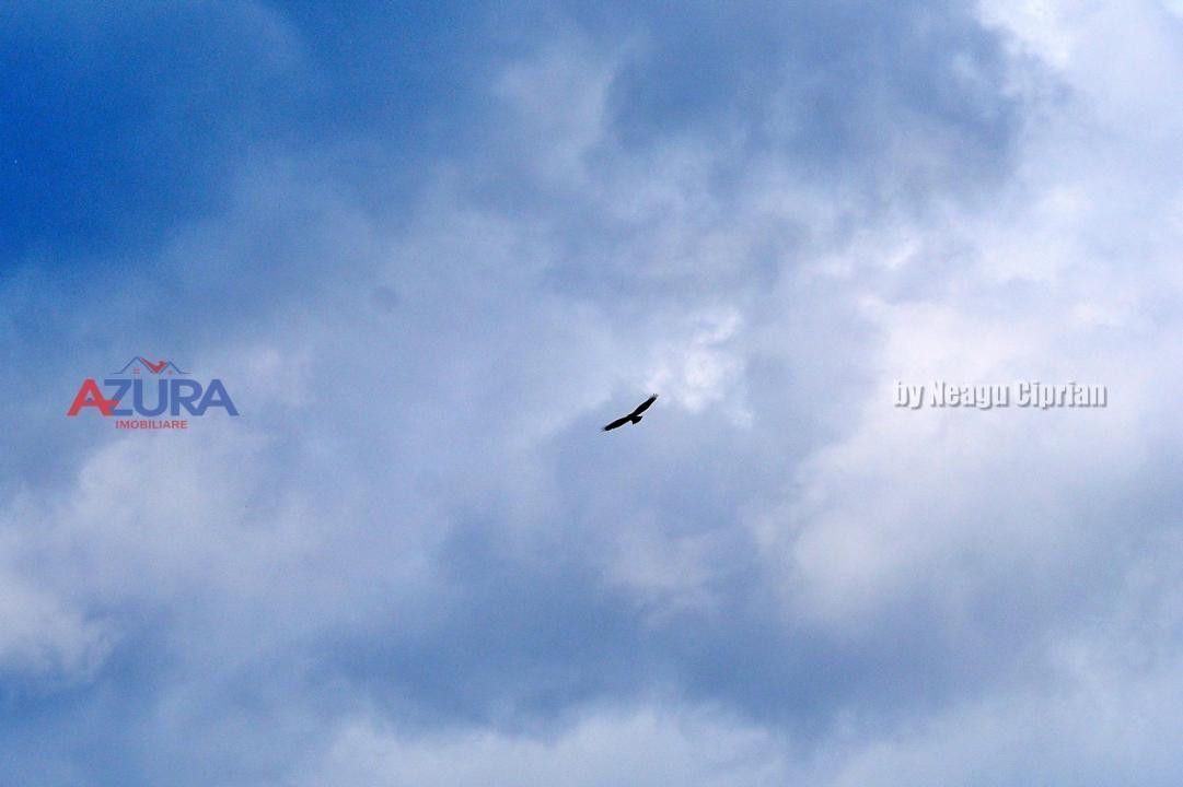 AZURA Imobiliare Pitesti - Casă de vacanță, Nucșoara! - Poză 90