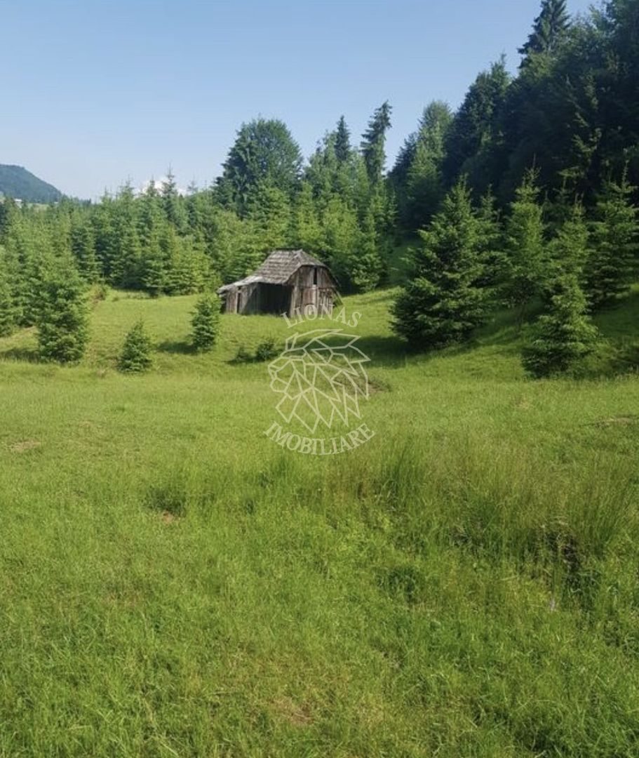 Teren 2,3ha si Padure 1ha-zona deosebita-Pasul Tihuta-EXCLUSIV - Poză 1