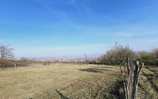 Teren intravilan de vanzare, Podei - Poză 2