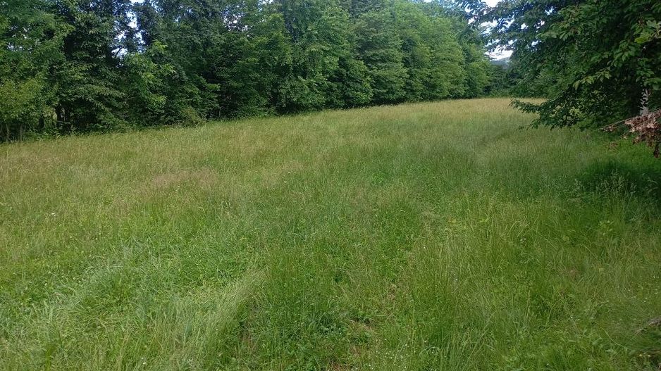 teren 1773 mp | Prahova | Banesti | Urleta | Campina - Poză 1