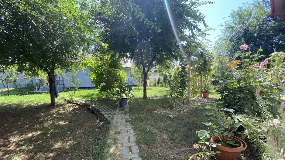 Vilă cu 6 camere de închiriat | Snagov - Vlădiceasca | Pet Friendly - Poză 15