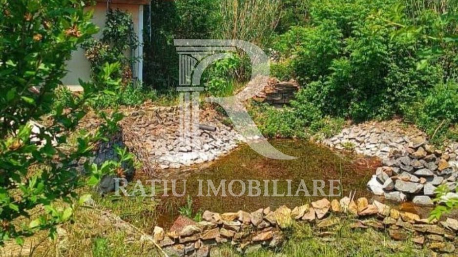Hala Constructie Caramida | Ineu | Bihor - Poză 17
