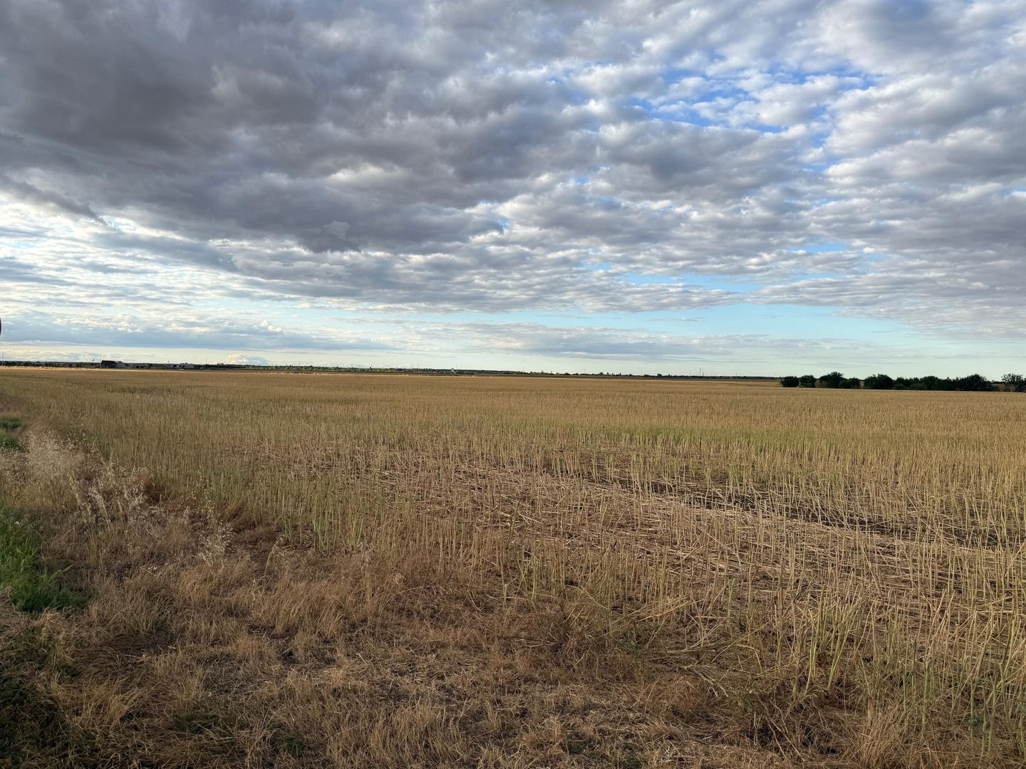 Teren intravilan Branesti - Poză 3