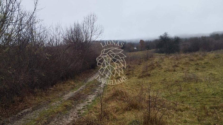 Teren 1000 mp-ideal casa de vacanta, investitie-Zona Valea Budacului - Poză 1