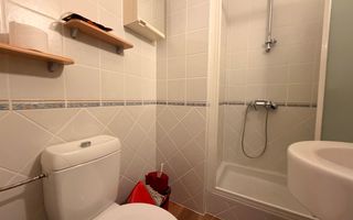 APARTAMENT 3 CAMERE | MEZANIN | PRIMAVERII - Poză 10