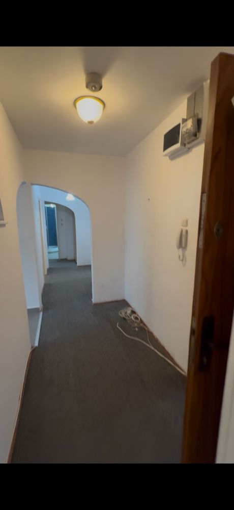 APARTAMENT LUMINOS ZONA TINERETULUI - Poză 6