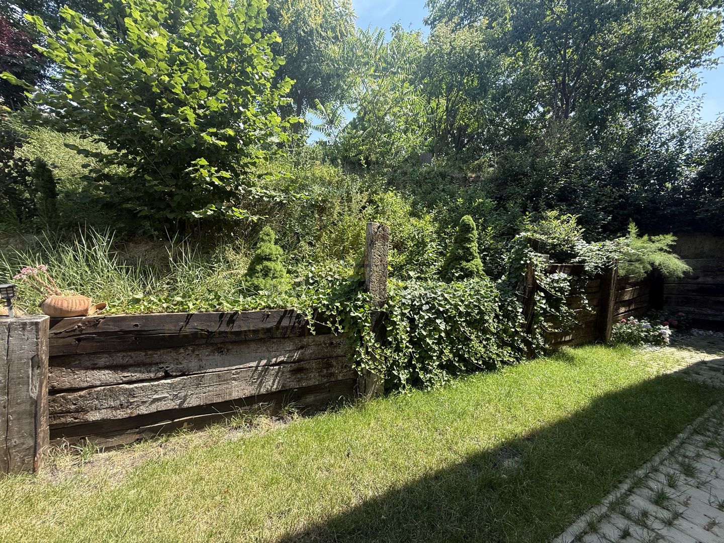 Casa individuala, Premium, Bucium, zona linistita - Poză 18