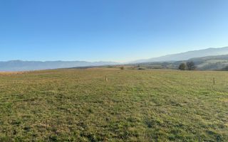 Teren pentru constructie cabana in Dealul Daii-parcele de 650 mp - Poză 2