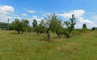 Teren 3860 mp lângă salba de lacuri a Acumulării Piscicole Mărtinești - Poză 6