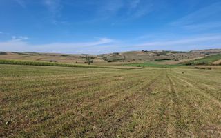 Parcele de teren intravilan constructii Șura Mare Sibiu - Poză 3