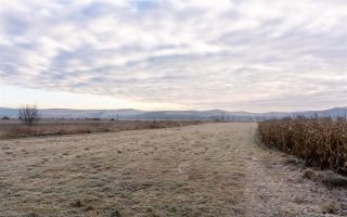 5.000 mp, teren extravilan, conditii apreciabile, Bod, Brasov - Poză 6