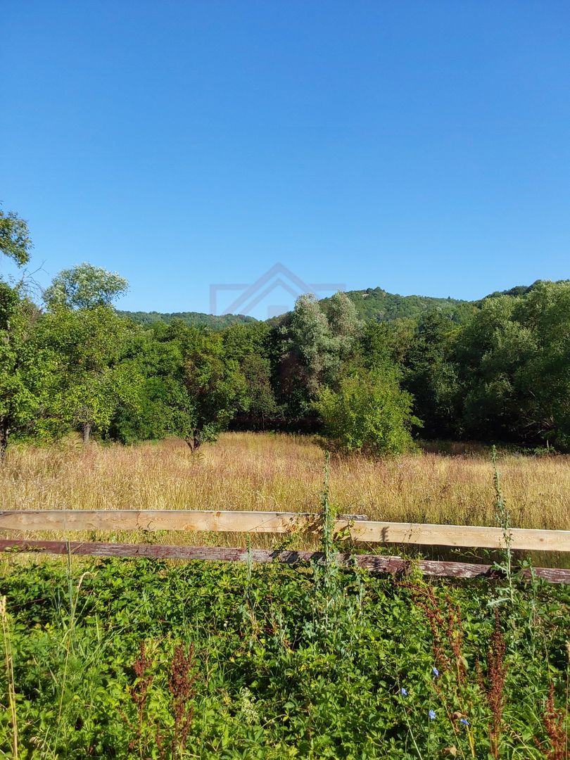 TEREN INTRAVILAN ZĂVOI\ZONA VALEA BISTREI, JUD.C-S - Poză 4