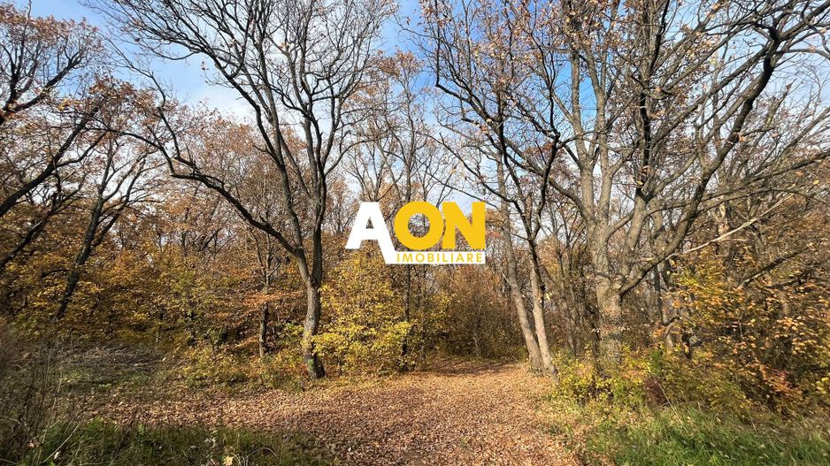 Teren de vanzare,  zona exclusivista,  2400MP - Poză 5