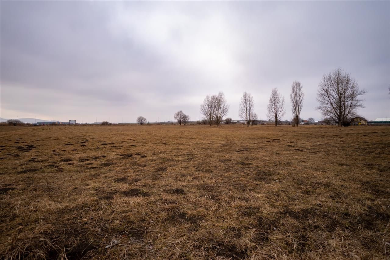 10.000 mp de teren intravilan, Brasov - Poză 5