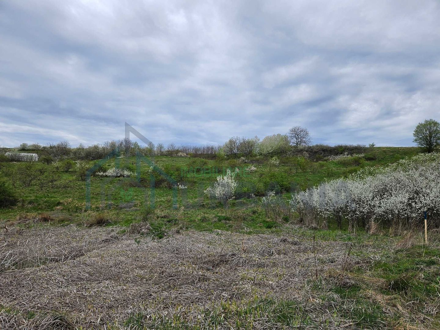 Teren intravilan 18.000 mp, Ciurea – Iași | 13 €/mp | 40 m front stradal la asfalt | Utilități - Poză 7