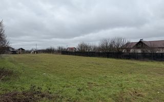 Teren de Vanzare Gradistea Sitaru - Poză 4