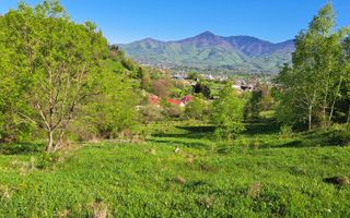 Teren extravilan de vanzare, Bistrita Bargaului- 10 minute de Colibita - Poză 8