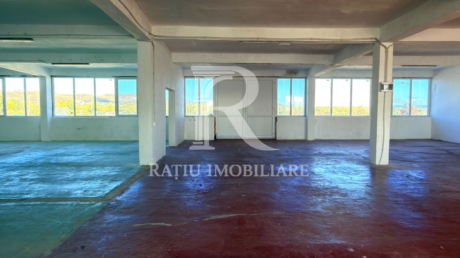 Spațiu comercial 530 mp | Depozitare și producție | Acces TIR - Poză 6