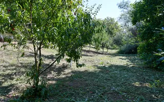 Casa de vanzare | Teren 3.000 mp | Izvor | Manesti - Coada Izvorului - Poză 19