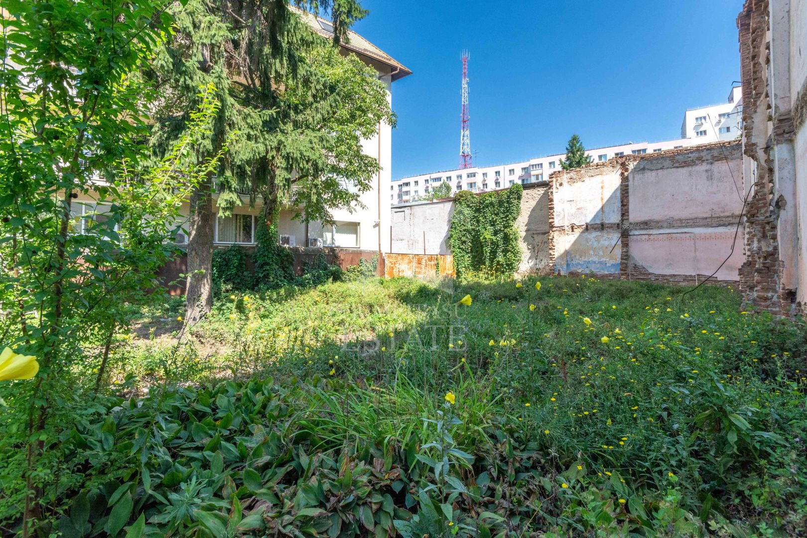 Stefan cel Mare - Tunari - Barbu Mumuleanu teren 381 mp - Poză 1