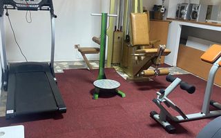 Vila S+P+2, cu suprafata utila 350 mp, Calea Grivitei - Poză 9