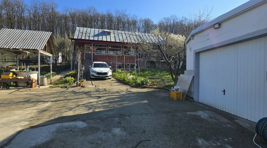 Casă P+M cu 1.558 mp teren, livadă și garaj | Barza, Gorj Comision 0%  - Poză 30