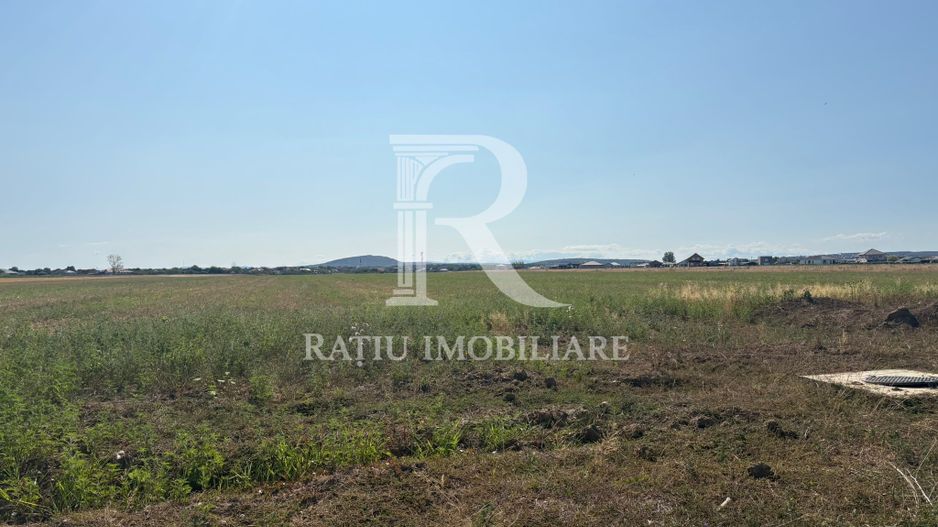 Teren intravilant |  11.955 mp | Cihei - Poză 3