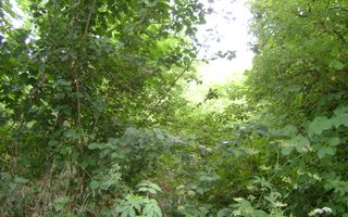 Teren  de vanzare Cornu 643 mp - Poză 4