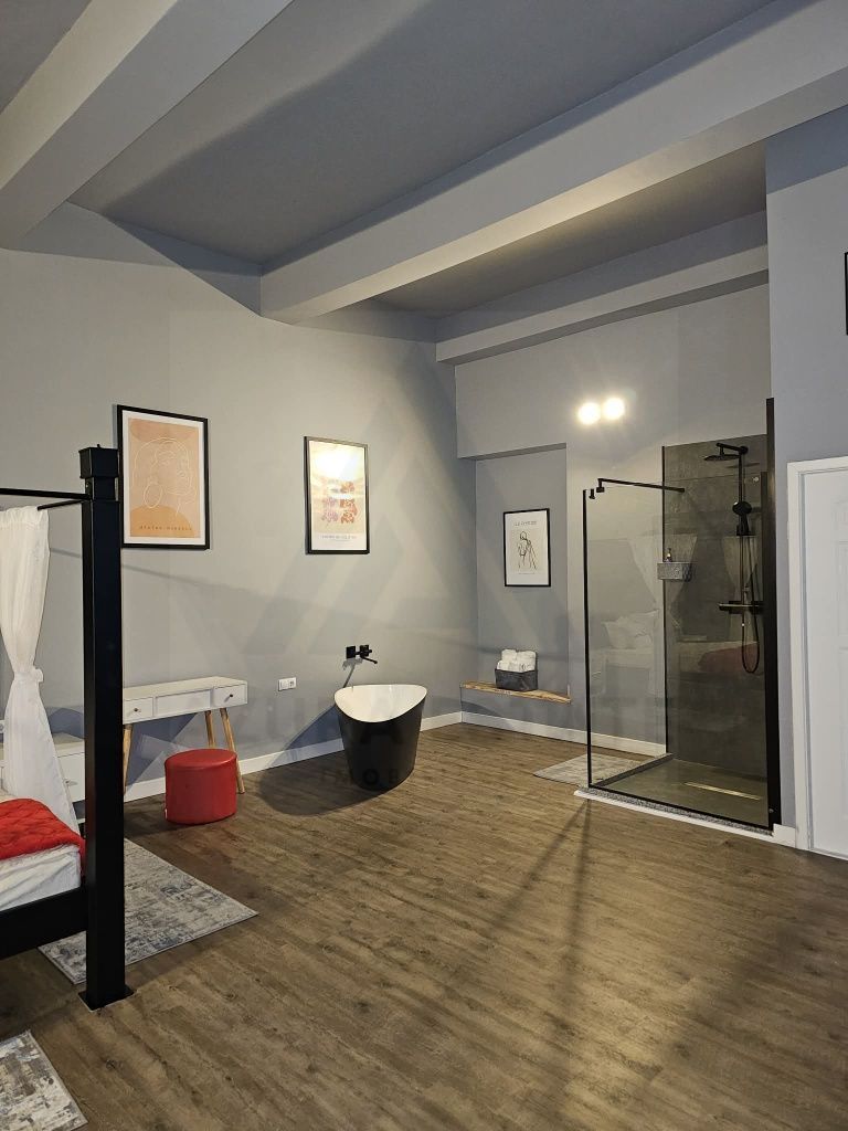 Garsoniera regim hotelier sau spatiu comercial 46 mp utili Terezian - Poză 8