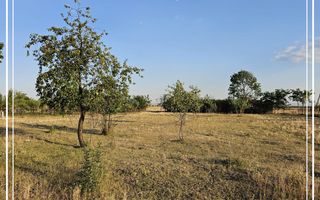 Opurtunitate si liniște Casa de vânzare la cheie Mocrea Jud. Arad - Poză 32