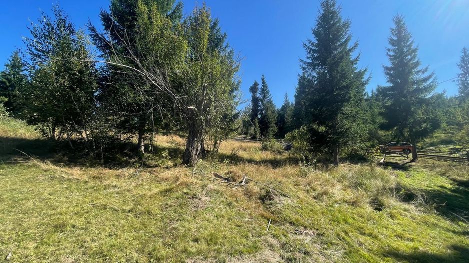 Teren Intravilan | Dealul Negru | Investiție | 1500 mp - Poză 3