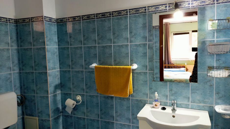 Casa cu 3 apartamente în Dumbravita aproape de pădure - Poză 17