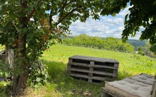 Teren intravilan 1797 mp în Dobrovăț (Ruși), lângă pădure, cu utilități și amenajări existente - Poză 7