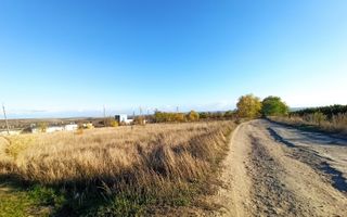 Teren agricol 40 ari Bubuieci - Poză 4