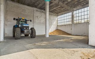 Complex industrial cu hale și teren  în Orțișoara - Poză 19