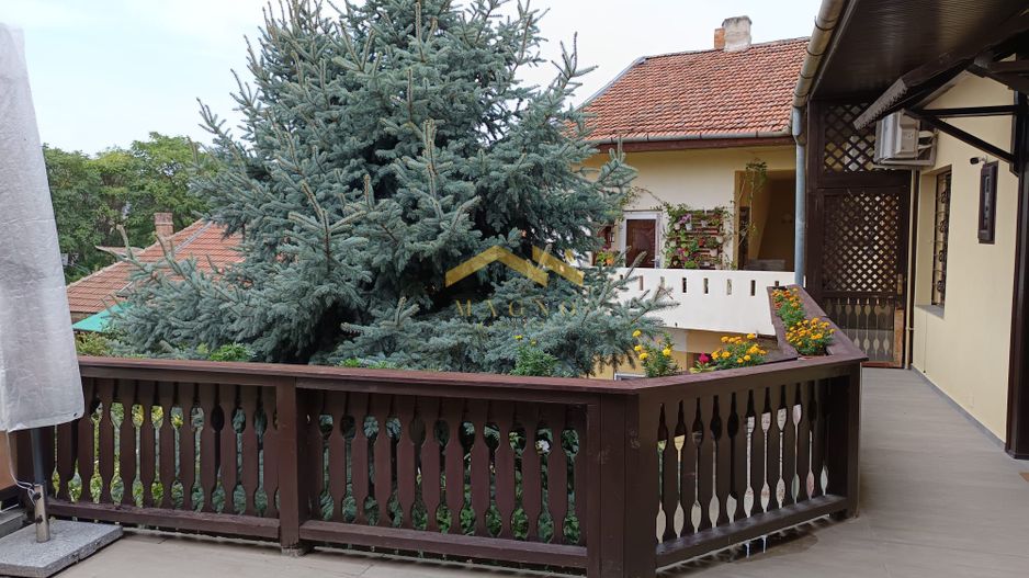 Ap.ultralux cu 3 cam. de inchiriat+terasa mare dotata/utilata + Cosbuc - Poză 21