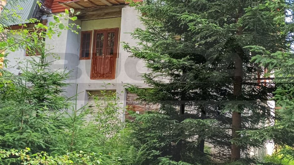 Casa de vacanta, Muntele Baisorii - Poză 3