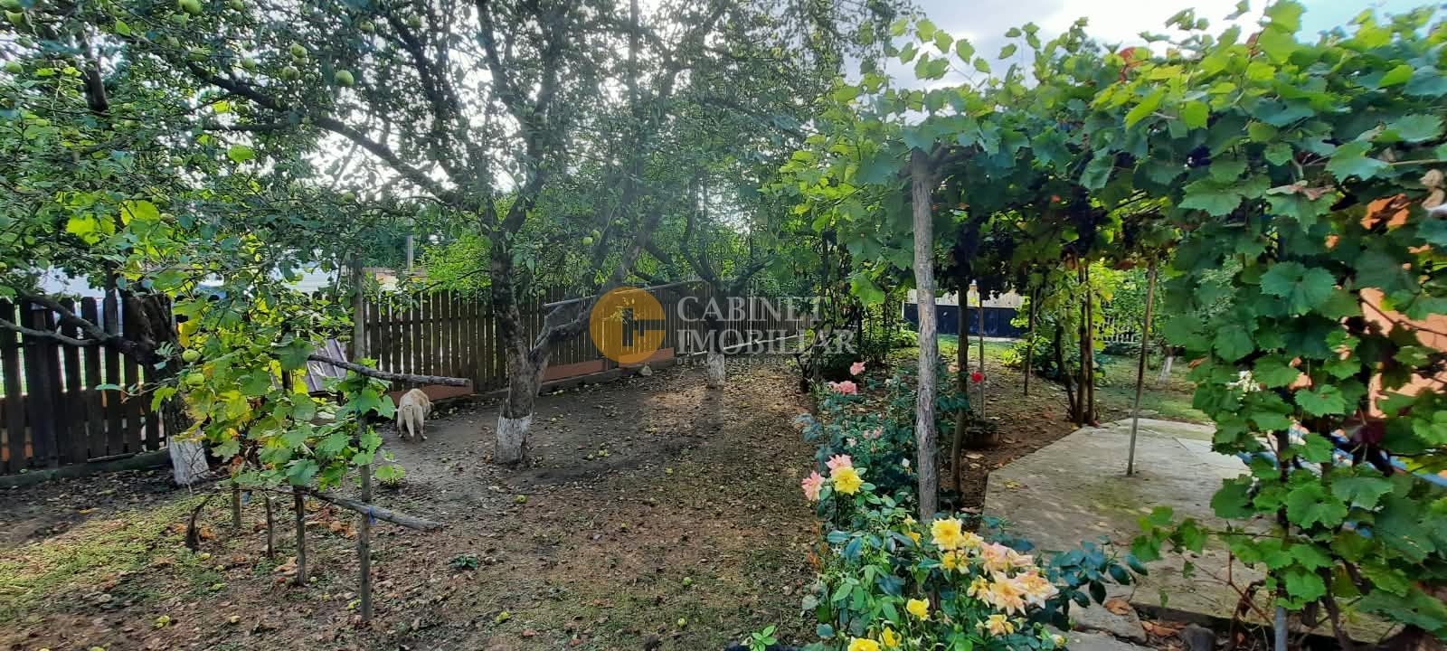 🏡 CASĂ BĂTRÂNEASCĂ LOCUIBILĂ DE VÂNZARE – TRIFEȘTI, IAȘI 🏡 - Poză 6