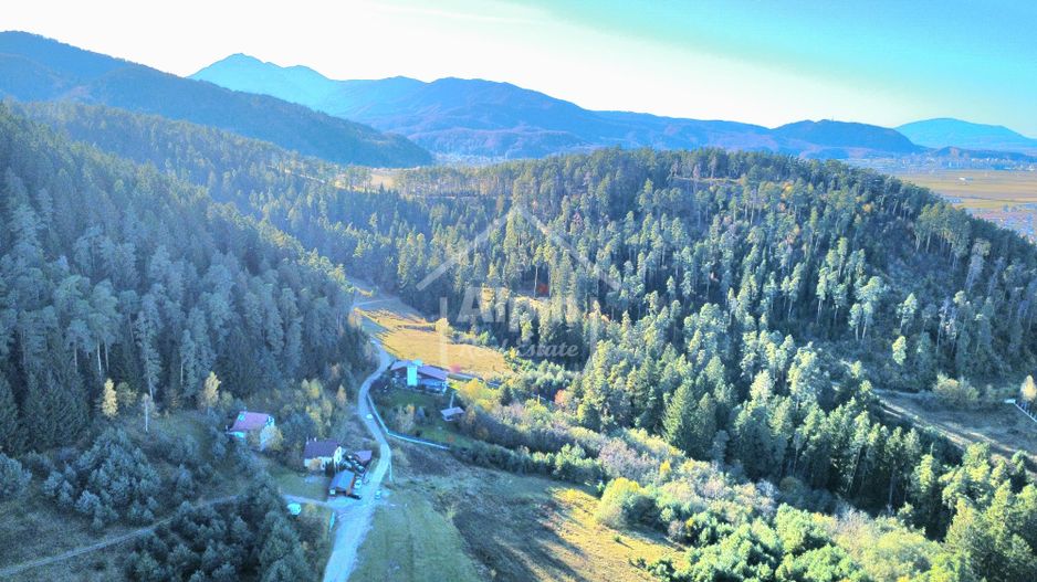 Teren Intavilan I Poiana Angelescu Sacele - Poză 22